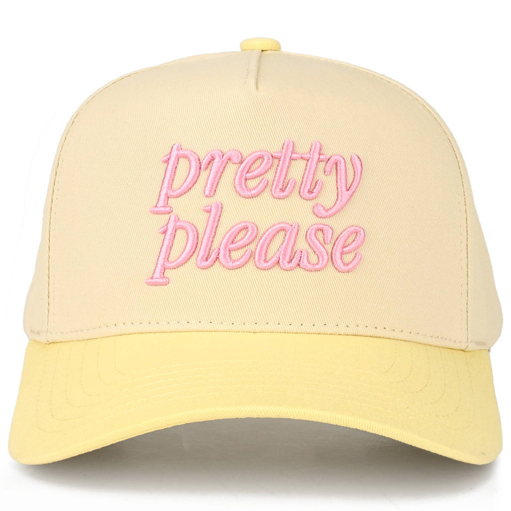 Embroidered “Pretty Please” Hat • Cute Aesthetic Trucker Hat • Trendy Two-Tone Cap