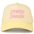 Embroidered “Pretty Please” Hat • Cute Aesthetic Trucker Hat • Trendy Two-Tone Cap