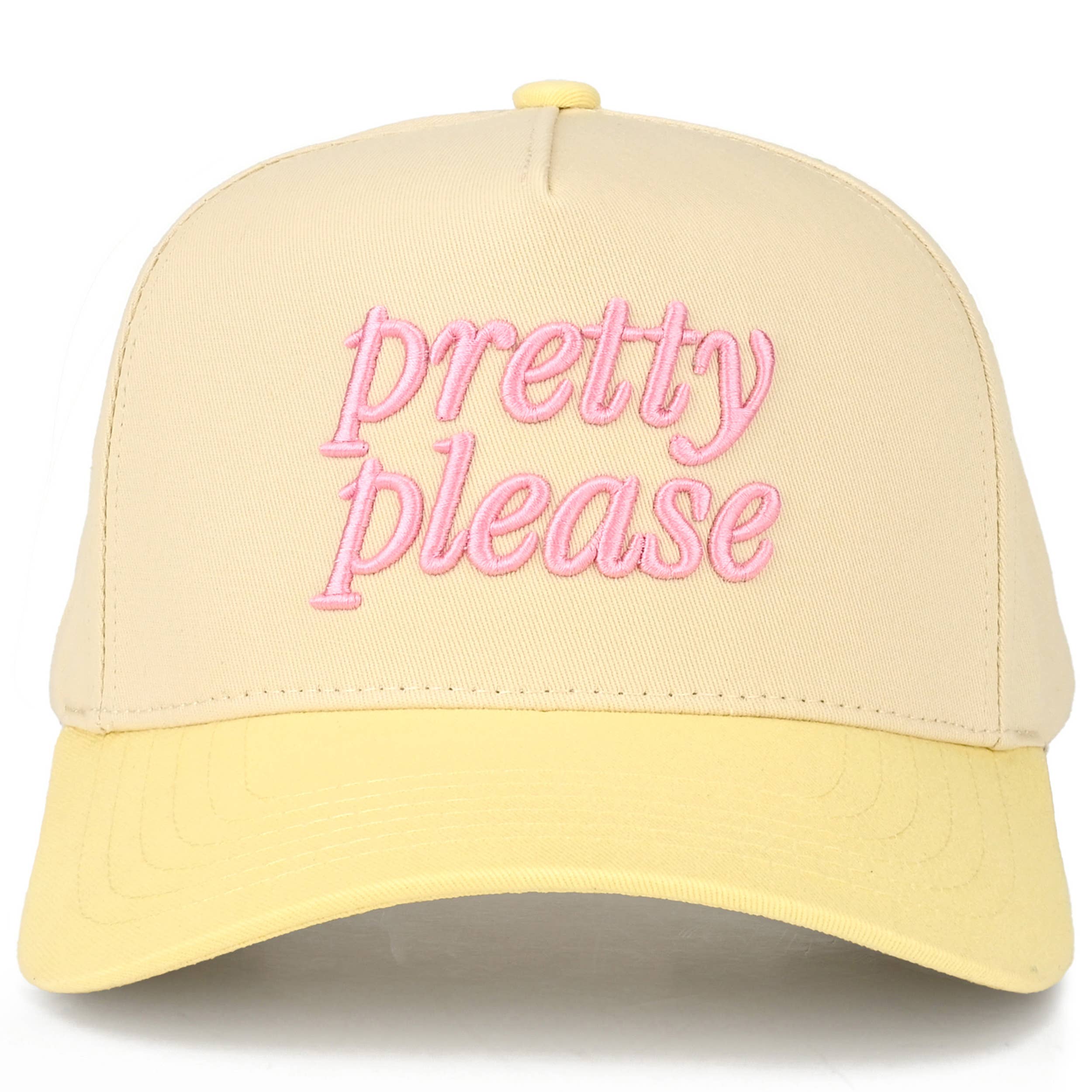 Embroidered “Pretty Please” Hat • Cute Aesthetic Trucker Hat • Trendy Two-Tone Cap