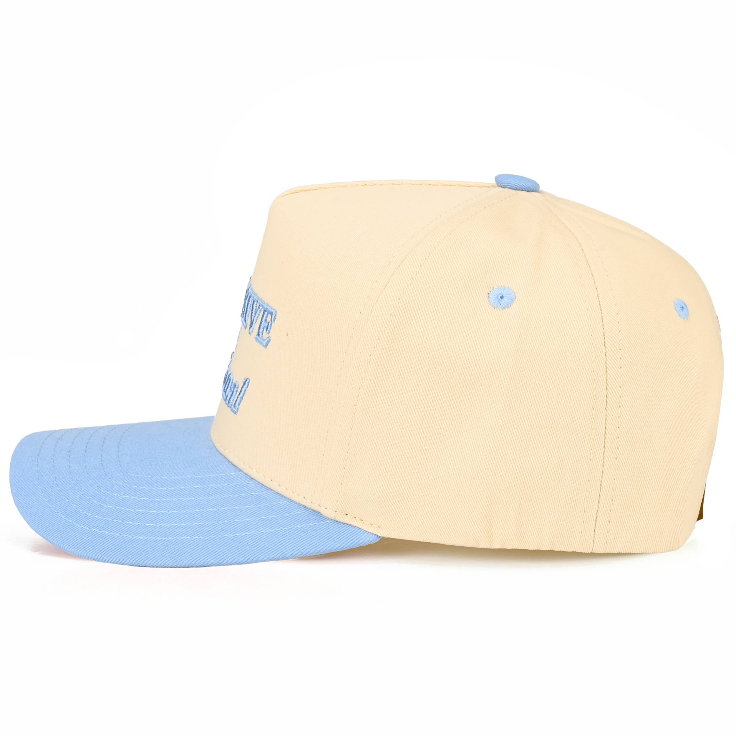 Expensive and Delusional Trucker Hat • Funny Embroidered Baseball Cap • Trendy Women's Hat • Coquette Aesthetic Snapback Hat