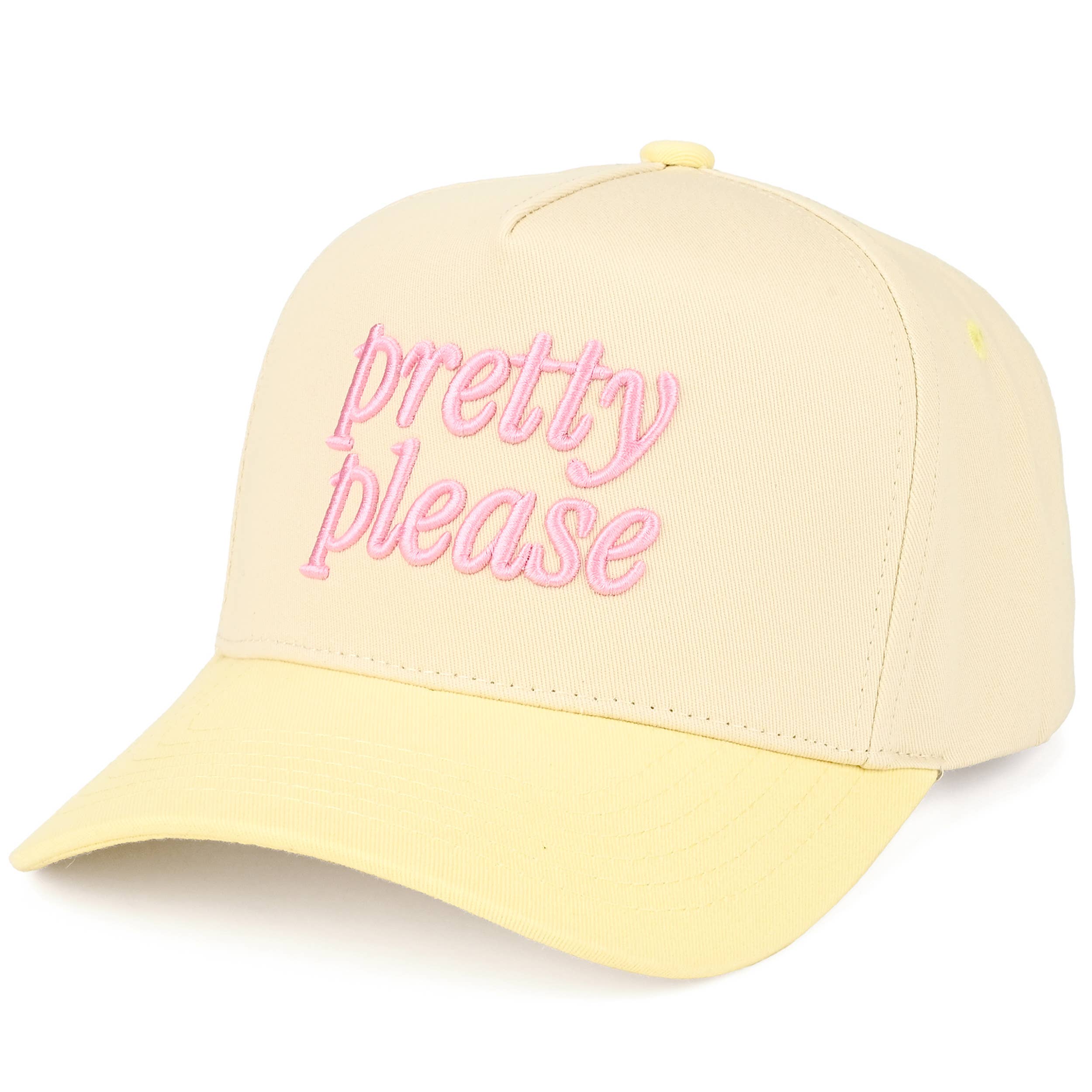 Embroidered “Pretty Please” Hat • Cute Aesthetic Trucker Hat • Trendy Two-Tone Cap